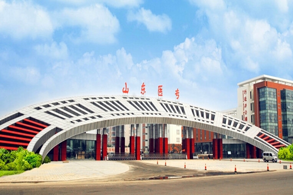 山東醫學高等?？茖W校樓宇智能化系統項目